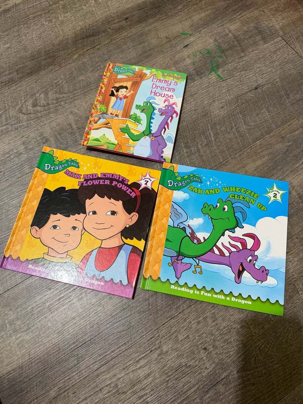 Dragon Tales Children's Hardcover Books Lot of 3: Emmy's Dream House, Flower Pow